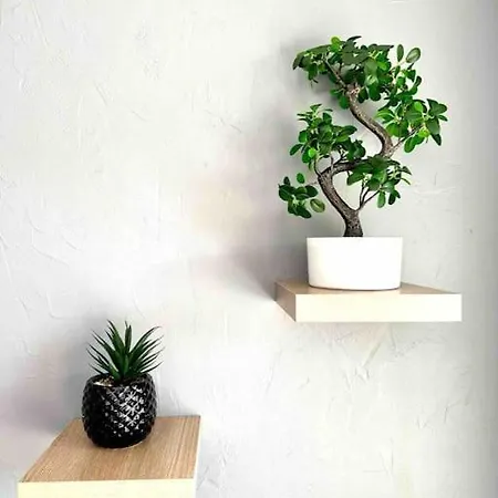 Bord De Les Issambres